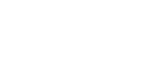 Lina Fils Web Solutions Project Demos